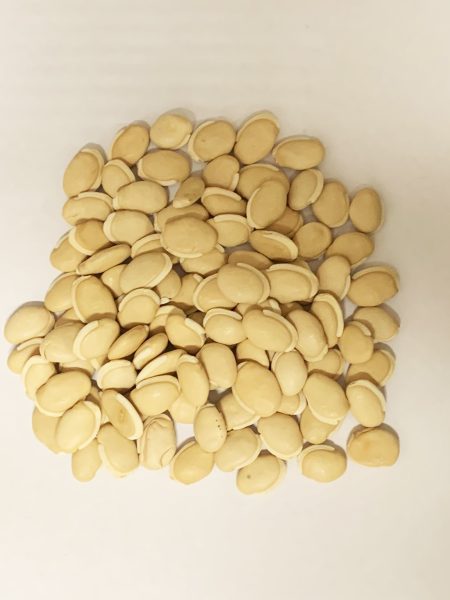 扁豆25KG LH  HARICOT BEANS