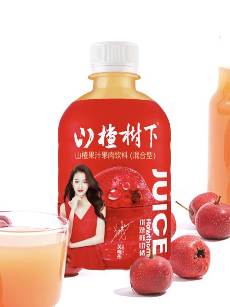 山楂树下饮料350ML*15 SZSX HAWTHORN DRINKS