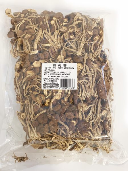 茶树菇500G*25 LH  CHA SHU GU
