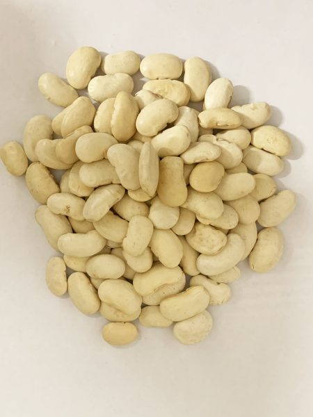 白芸豆 25KG LH  WHITE KIDNEY BEAN