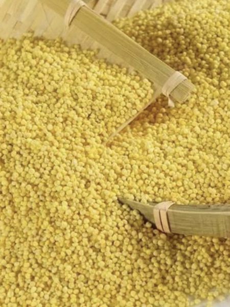 糯大黄米25KG LH  GLUTINOUS YELLOW MILLE