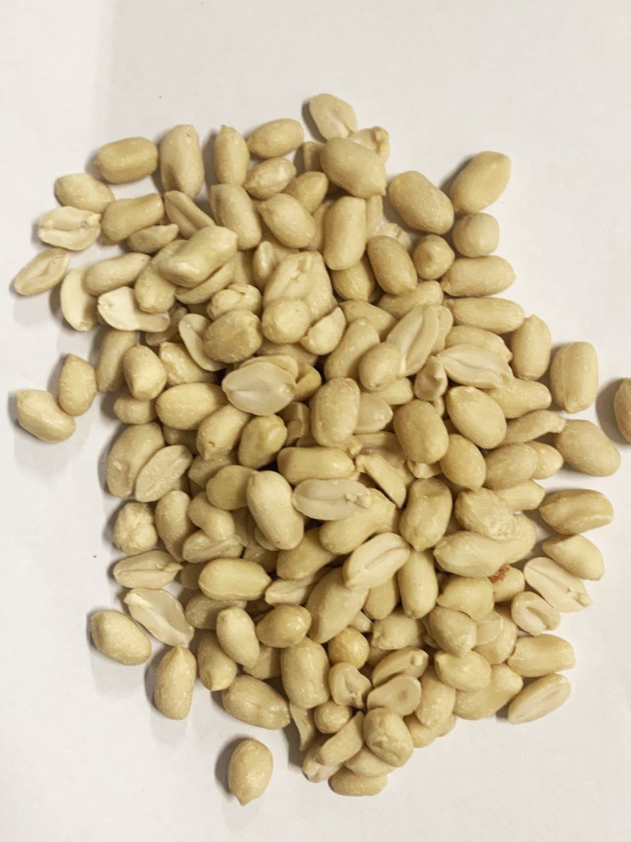 脱衣花生25KG BLANCHED PEANUTS