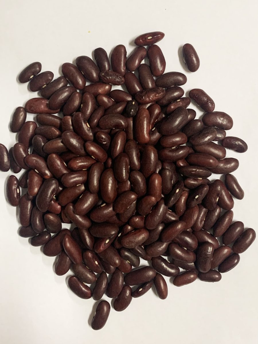 红腰豆25KG RED KIDNEY BEANS