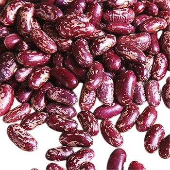 花腰豆25KG LH SPECKLED KIDNEY BEAN