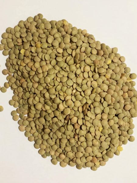 褐色小扁豆25KG BROWN LAIRD LENTILS