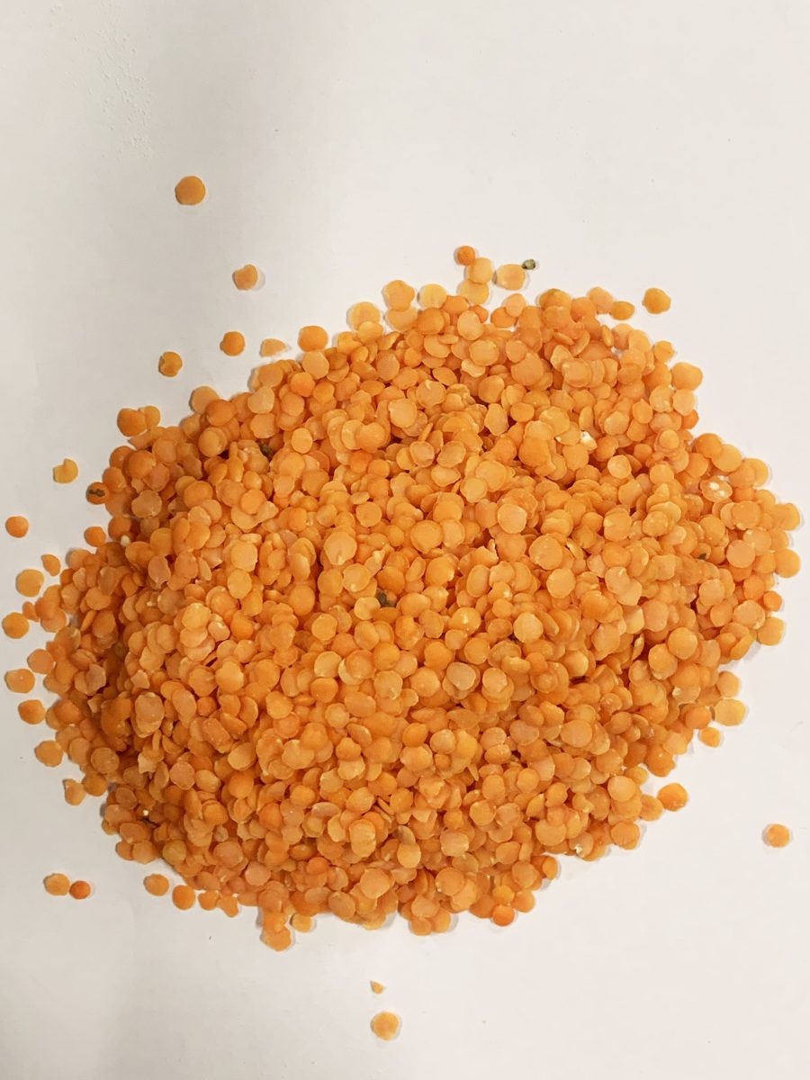 红兵豆25KG SPLIT RED LENTIL
