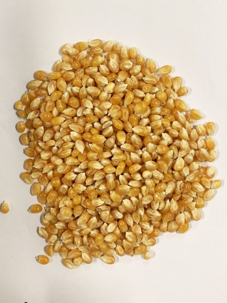 爆谷25KG  POP CORN