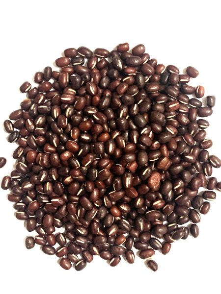 天津大红豆25KG TIANJIN LARGE ADZUKI BEAN