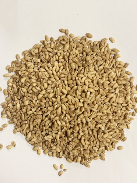洋薏米25KG PEARL BARLEY