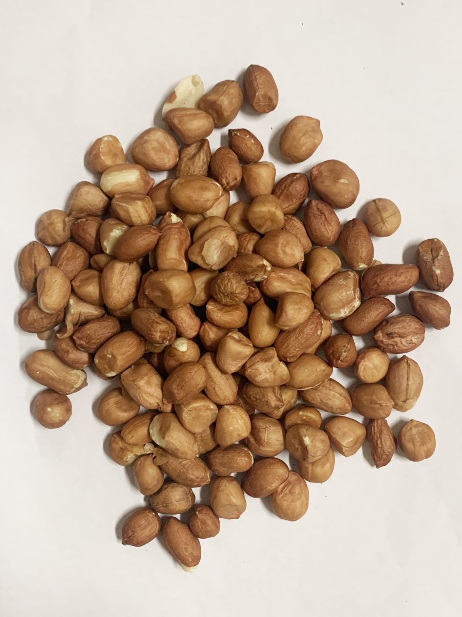 有衣花生25KG RAW PEANUTS KERNEL