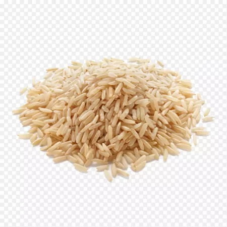 糙米 24.5KG LH BROWN RICE