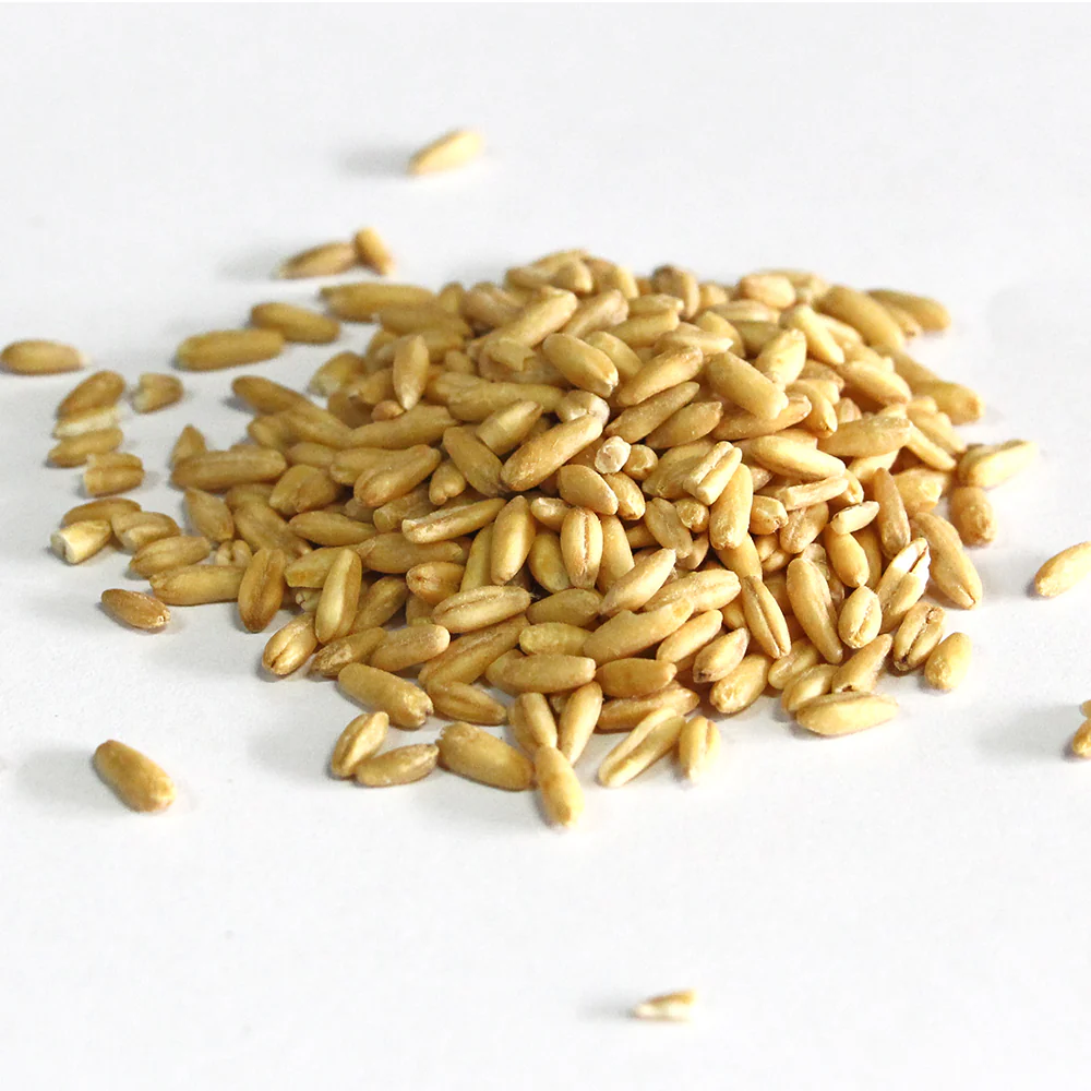 燕麦24.75KG GROATS OATS
